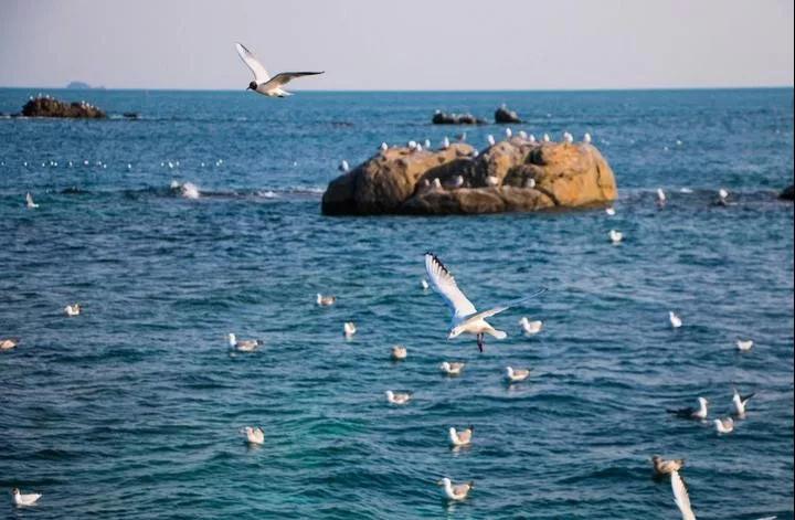 海水中陰陽離子的檢測(cè) 海水中陰陽離子的檢測(cè)